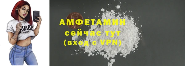 молекула духа Богородск