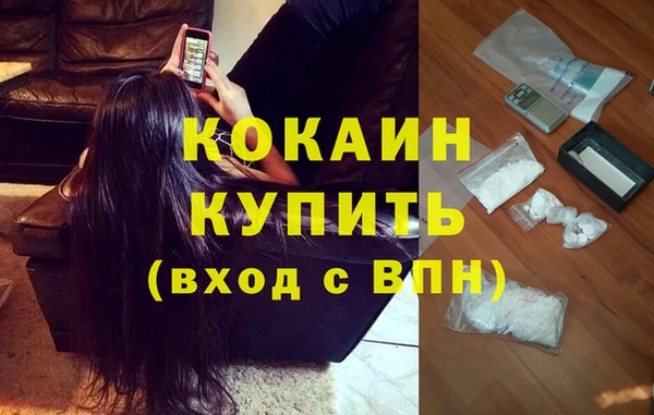 дмт Богородицк